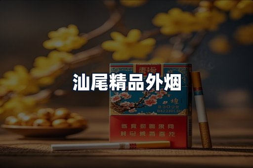 汕尾精品外烟
